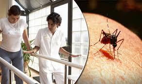Zika Virus Mexico Confirms Five Cases Of Guillain Barre Syndrome Linked To Virus Express Co Uk