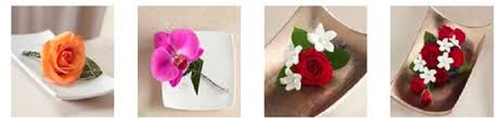 We have 2 florists with 44 reviews delivering in peterborough. The 8 Best Options For Flower Delivery In Peterborough 2021
