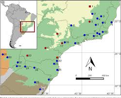 4 of pardiñas et al., 2014), b) copemys sp. Pdf Range Extension And First Record Of Euryzygomatomys Spinosus Rodentia Echimyidae In The Brazilian Cerrado Semantic Scholar