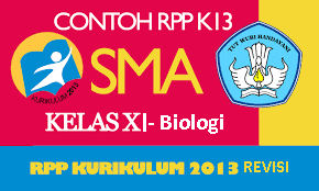 Xii / 1 alokasi waktu : Rpp K13 Biologi Materi Struktur Dan Fungsi Jaringan Hewan