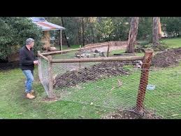It comes 40 wide, 25ft roll, for about $12. Making A Begin On The Veggie Backyard Perimeter Rabbit Proof Fence City Backyard Construct Jardin Menta