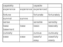 They are the most important a noun has several types, like proper, common, countable, uncountable, etc.; Noun Verb Adj Adv Shock Enjoyment Performance Performer