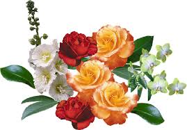 images
