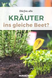 Pin Auf Gartentraume