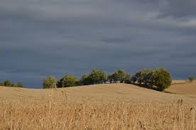 Auenland Stimmung In Koscierzyna Polen Berglandschaft Instagram Fernweh