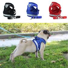 Anjing Peliharaan Harness Tali Set Untuk Pug Mesh Harness Rompi Kecil Medium Anjing Reflektif Anjing Kucing Tali Chihuahua Bulldog 25 Set Aliexpress