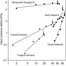 2 Site Index Or Age Versus Height Curves For Douglas Fir