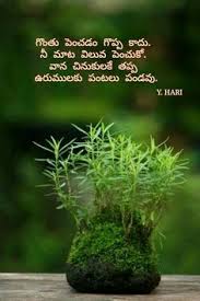 Bonsai refers to the art of cultivating these small trees and is an integral part of japanese culture dating back to the early 14th century. Bonsai Tree Meaning In Telugu Bonsai Tree