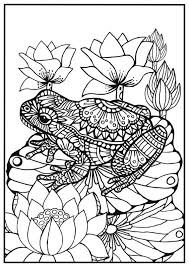 Omeletozeu Frog Coloring Pages Animal Coloring Pages Cute Coloring Pages