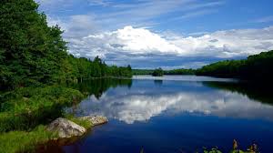 The labradors said it was especially meaningful to see mcgown lake on the list. Wildlife Preservation In Southeast Nova Scotia Horizon Solutions Site