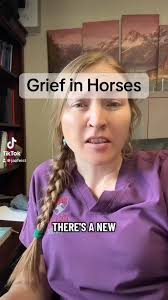 Feist Veterinary Services