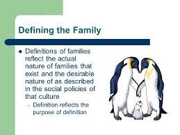 Maybe you would like to learn more about one of these? Family Matters Individuals And Families Diverse Perspectives Chapter Family Matters Ppt Download