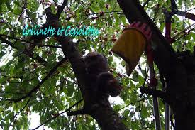 Comment Cueillir Trente Kilos De Cerises En Un Temps Record Grelinette Et Cassolettes