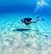 Are certified for life and therefore you. Free Dive Master Padi Internship Mykonos Free Watersports Job Board