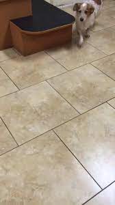 Our store also offers grooming, training, adoptions, veterinary and curbside pickup. Pet Care Center Veterinary Hospital Home Facebook