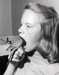 Edgar Martins: Inside Out