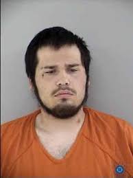 POLK COUNTY: 19-Year-Old Arrested for Misdemeanor Domestic Assault