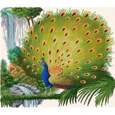 Also included is the quilt pattern and directions, and the color guide. Magestic Peacock Cross Stitch Pattern Shopee Philippines