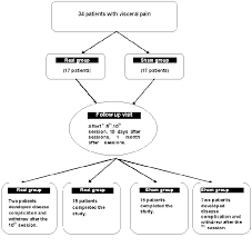 Flow Chart Of The Patients Through The Course Of The Study