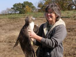 We did not find results for: Real Blue Phoenix Bird Novocom Top