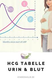 Die hoffnung mag vielleicht groß sein, aber wie schnell es tatsächlich mit dem wunschbaby klappt, lässt sich nicht bestimmen. Pin Auf Icsi Intracytoplasmatische Spermieninjektion Tipps Zu Vorbereitung Ablauf Zusatzleistungen Und Chancen