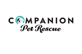 Stone & sons, southbury, ct we're teaming up with our partner shelters to bring adoptable dogs, cats, puppies, and kittens to your neighborhood. Companion Pet Rescue At Choice Pet Supply Southbury Ct Animal League