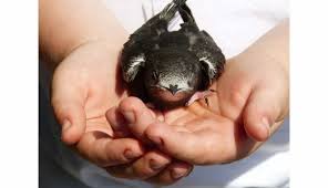 Chacripxte onlyfans leak i went through Paiges