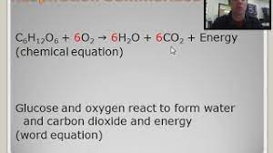 What was the indicator that the switch was. What Is The Chemical Equation For Cellular Respiration Socratic