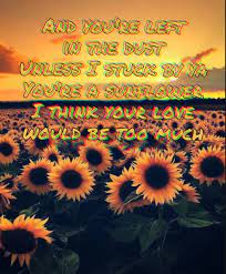 Sunflower Lyrics By Post Malone And Swae Lee From The Movie Spiderman Into The Spider Verse Songs Lyrics M Post Malone Lyrics Post Malone Wallpaper Lyrics