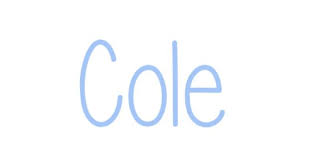 Boy Name Cole Victory Of The People Baby Boy Middle Names Little Boy Names Baby Names