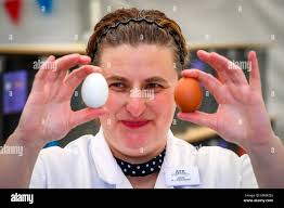 Dickson best hi-res stock photography and images