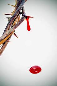 Resultado de imagen para preciosa sangre de cristo