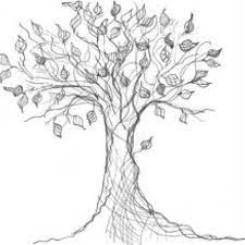 I Ve Always Loved Shel Silverstein Books And His Messily Sketched Drawings Tree Drawing Family Tree Drawing Tree Sketches