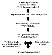 Study Design Flow Chart Of The Study Stemi Stsegment