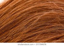 Hair Color Chart Shades Images Stock Photos Vectors