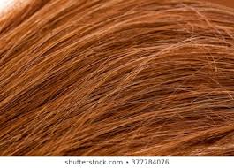 hair dye color chart images stock photos vectors