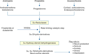 The Dark Side of 5α-Reductase Inhibitors' Therapy: Sexual Dysfunction, High  Gleason Grade Prostate Cancer and Depression