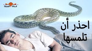 ويفضل عدم إضافة زيوت عطرية لهذا النوع من الصابون حيث أن وجود عسل النحل يعد كافياً. Ù‡Ù„ ØªØ¹Ù„Ù… Ù„Ù…Ø§Ø°Ø§ Ù†Ù‡Ù‰ Ø§Ù„Ù†Ø¨ÙŠ Ø¹Ù† Ù‚ØªÙ„ Ø«Ø¹Ø¨Ø§Ù† Ø§Ù„Ø¨ÙŠÙˆØª Ù‚Ø¨Ù„ Ø§Ù†Ø°Ø§Ø±Ù‡ Ø«Ù„Ø§Ø« Ø§Ø­Ø°Ø± Ø£Ù† ØªÙ‚ØªØ±Ø¨ Ù…Ù†Ù‡Ù… Youtube