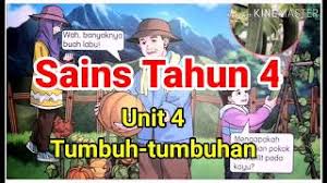 Fotosintesis sering disinonimkan dengan kata asimilasi artinya menyusun. Proses Fotosintesis Sains Tahun 4 Youtube