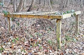 Genau wo der anschluss vom rasenroboter ist. Kurioses In Stuttgart Mohringen Ameisenhugel Im Kafig Mohringen Stuttgarter Nachrichten