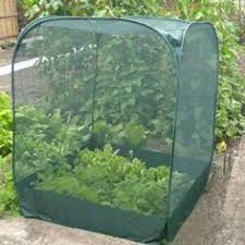 Bird Netting For Garden Uk Dollar Store Hamper Turned Vegi Net Garden Netting Backyard Garden Gardening Tips
