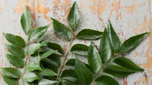 42 farming is required to grow curry trees. Curry Leaves Benefits The Spicy Route To Good Health Ndtv Food