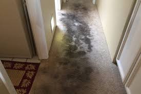 Maybe you would like to learn more about one of these? Phoenix Carpet Repair Don T Replace It Repair It