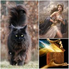 Apart from their good looks and gentle personality, their history is also. Top 29 Awesome Maine Coon Cat Names Ideas Maine Coon Guide