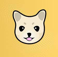 How Risky Is Kishu Inu And Why Is The Price Going Up