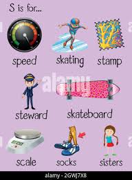 Sabbat 12 · sabbed 13 · sabers 9 · sabine 10 · sabins 10 · sabirs 9 · sables 10 · sabots 9 · sabras 9 · sabred 10 · sabres 9 . Flashcard Letter S Is For Skateboard Stock Vector Image Art Alamy