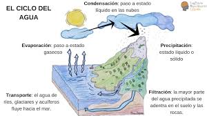 El ciclo se inicia sobre todo en las grandes superficies líquidas (lagos, mares y océanos) donde la radiación solar favorece que continuamente se forme vapor de agua. Pin En Educacion Primaria