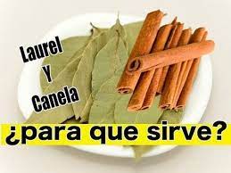 Cómo preparar este té de canela y laurel. Te De Canela Y Laurel Para Que Sirve Preparacion Como Tomarlo Combinaciones Y Mucho You Te De Canela Y Laurel Te De Canela Canela Para Adelgazar