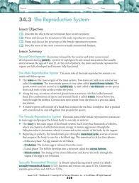 Ch 34 1 Amp34 2 Answers