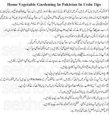 Home Vegetable Gardening In Pakistan In Urdu Tips Home Vegetable Garden Vegetable Garden Vegetables